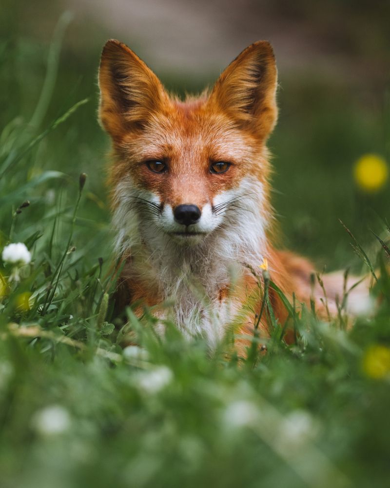 Photograph by Андрей Белавин