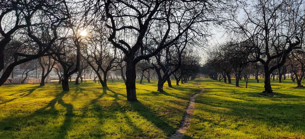 Photograph by Ольга Тюрина