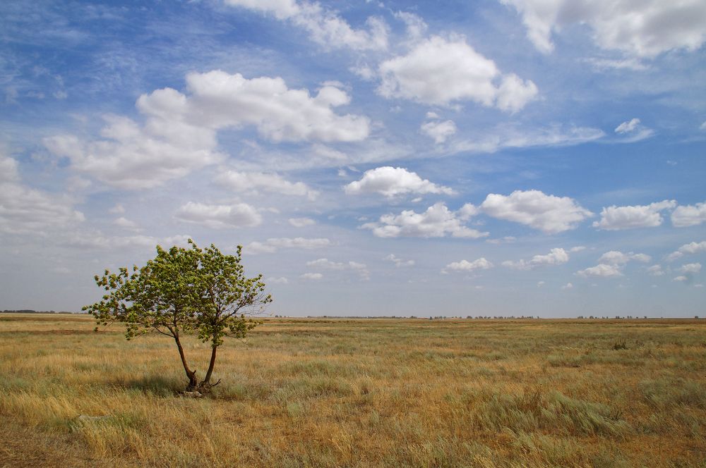 Photograph by Павел Колеснев