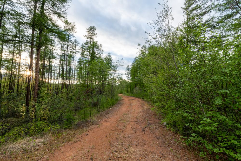 Photograph by Антон Жирнов