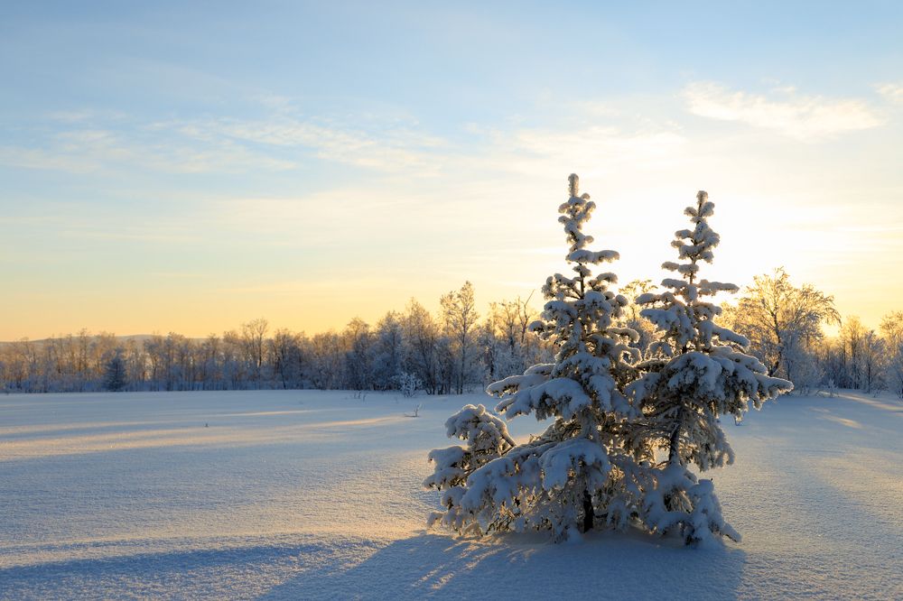 Фотография автора Андрей Русских