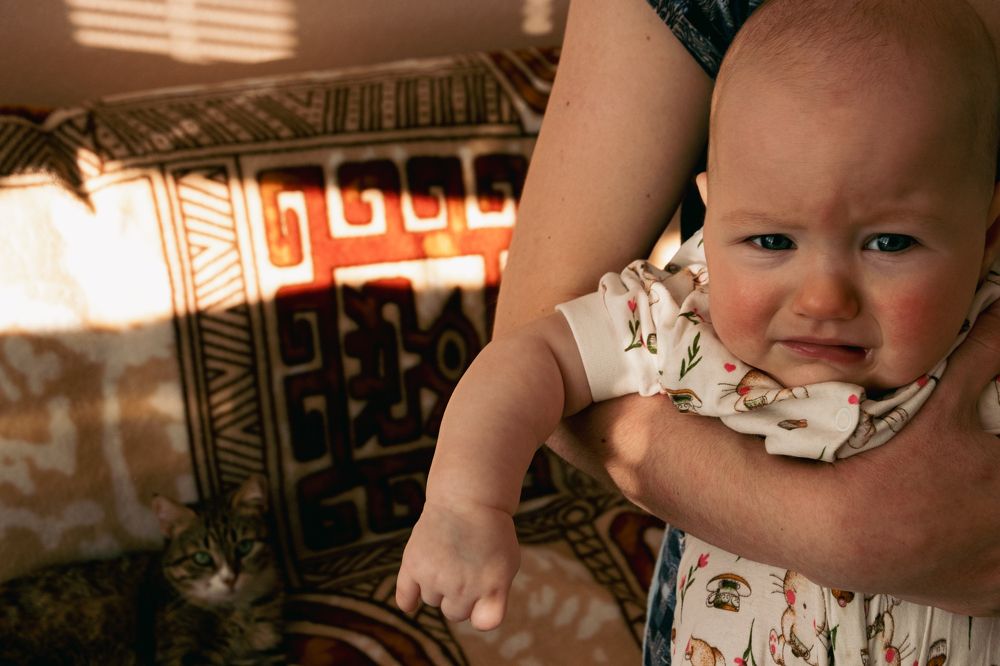 Photograph by Наталья Пахомова