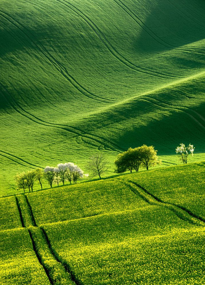 Spring in Moravia