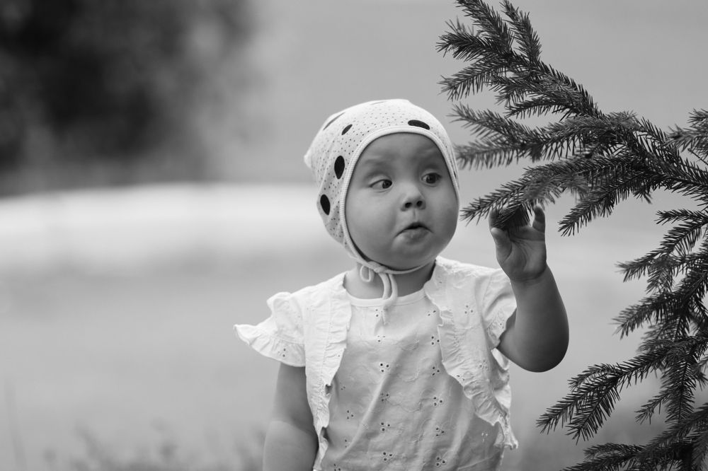 Photograph by Мария Попова