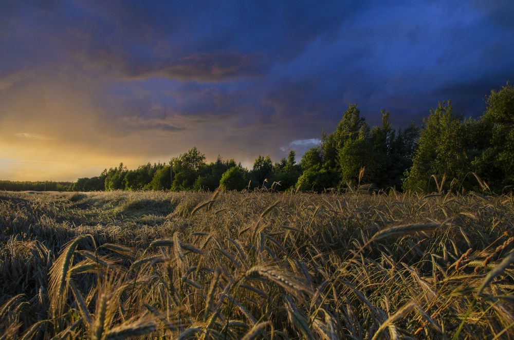 Photograph by Мария