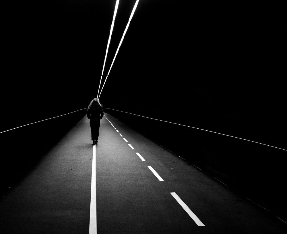 Photograph by Vahid Rostami
