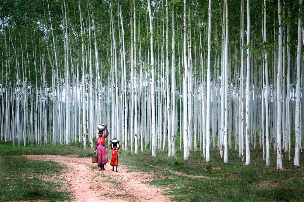 Photograph by Alok Avinash