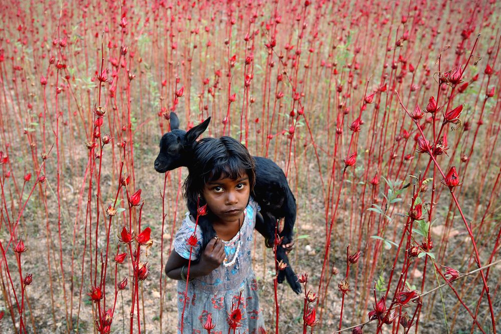 Photograph by Alok Avinash