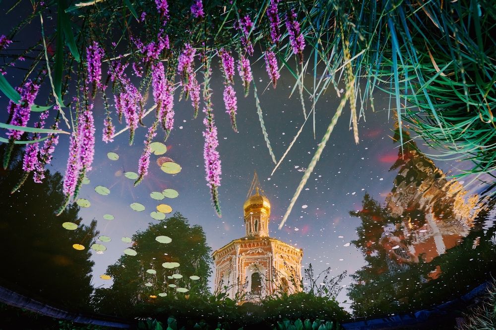 Photograph by Алексей Нагорнов