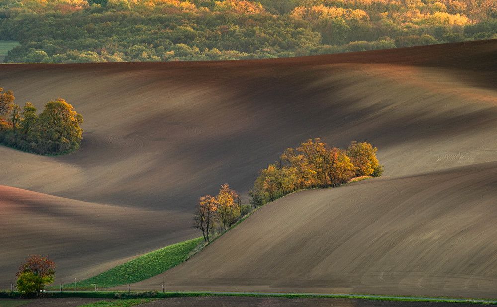 Sunset in the fields of Moravia. Czech Republic