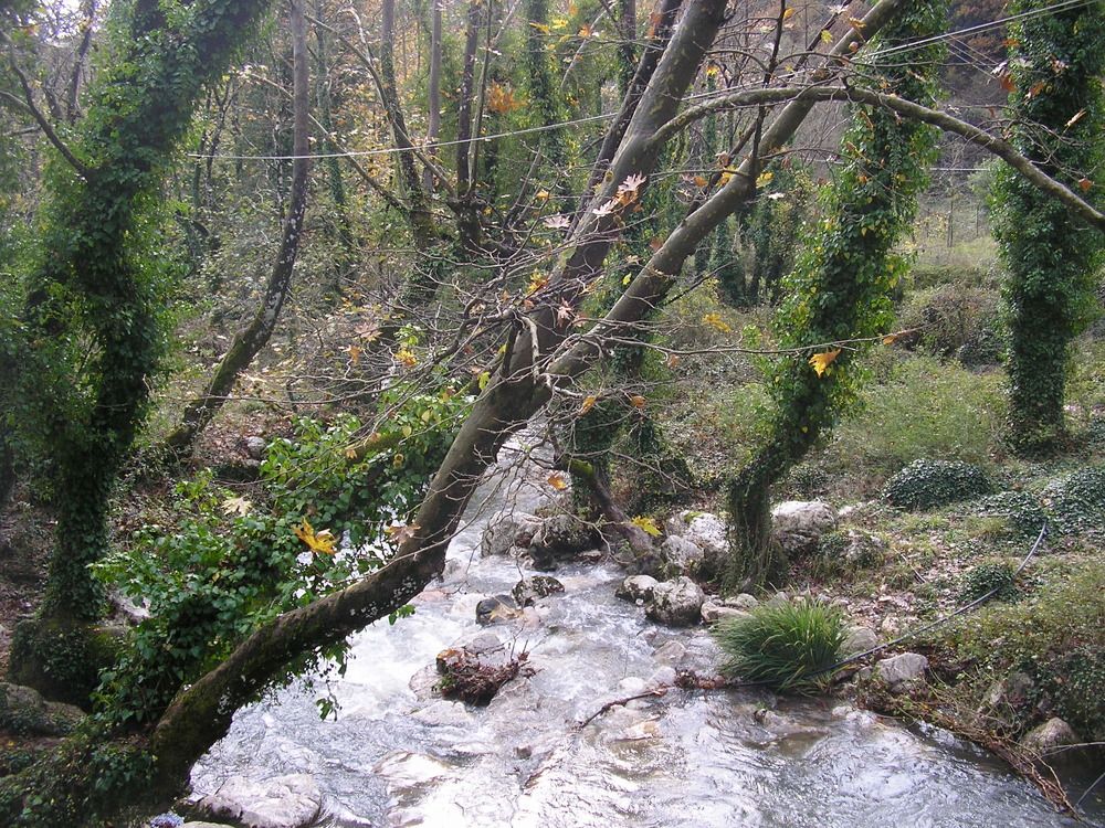 Photo #7391638