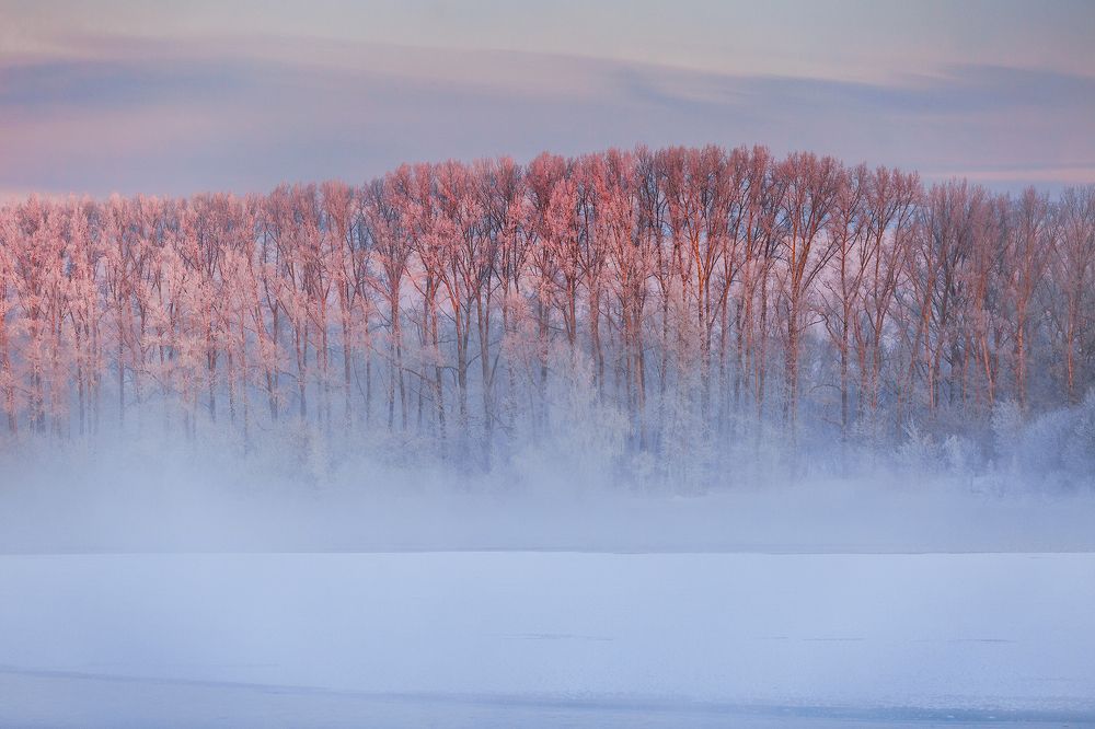 Photograph by Осипов Ёжъ Александр