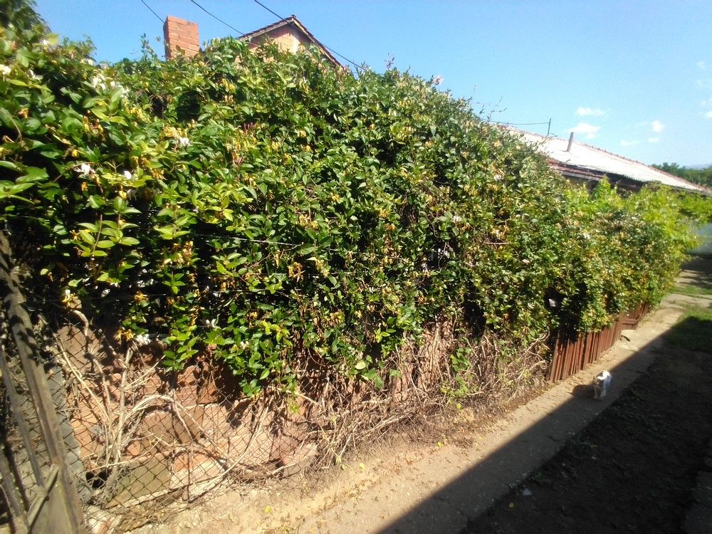 Photograph by Bojan Nikolovski