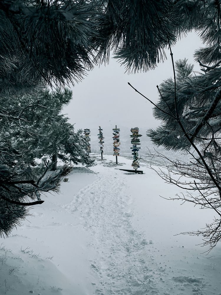 Photograph by Сергей Владимирович Удовиченко