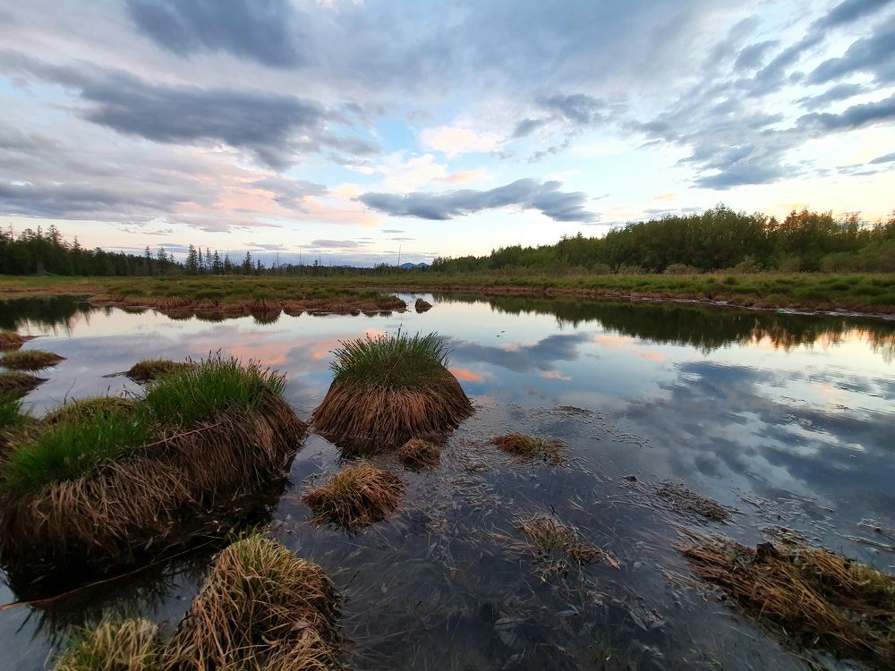 Photograph by Антон Жирнов