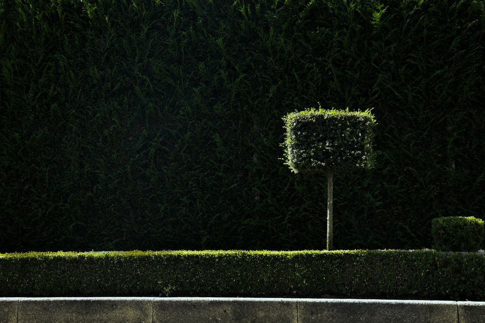 Фотография автора Elena Van Melkebeek