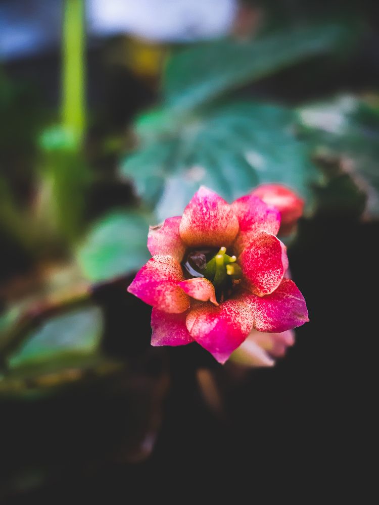 Photograph by Zahra Pour mohammad doust