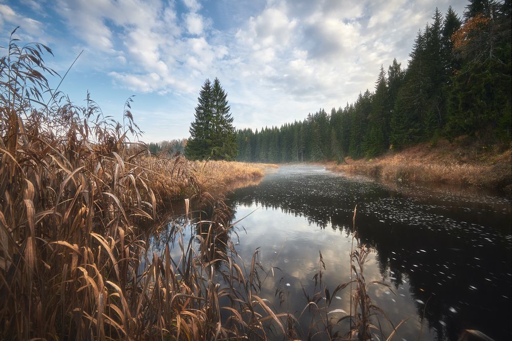 Photograph by Кононов Антон