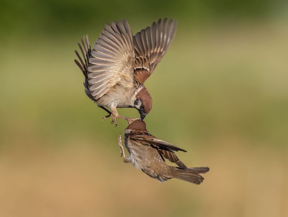 Photograph by Наталья