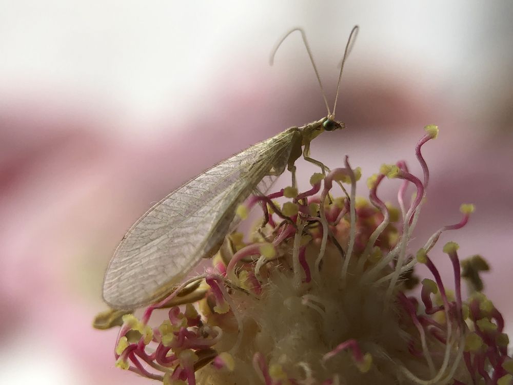 Photograph by Юлия Отставнова