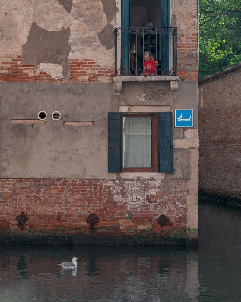 Photograph by Polina Bogomolova