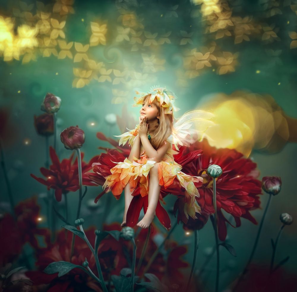 Фотография автора Ольга Клипина