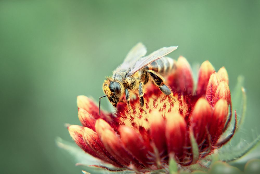 Photograph by Татьяна Колесникова