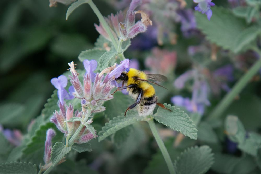 Photograph by Татьяна Колесникова