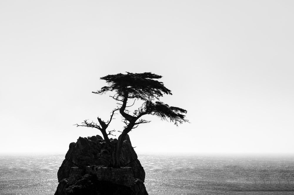 Photograph by Duharte Marie