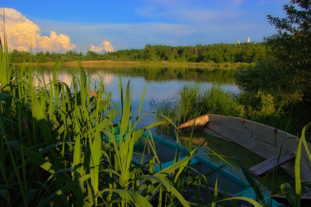 Весенний день.