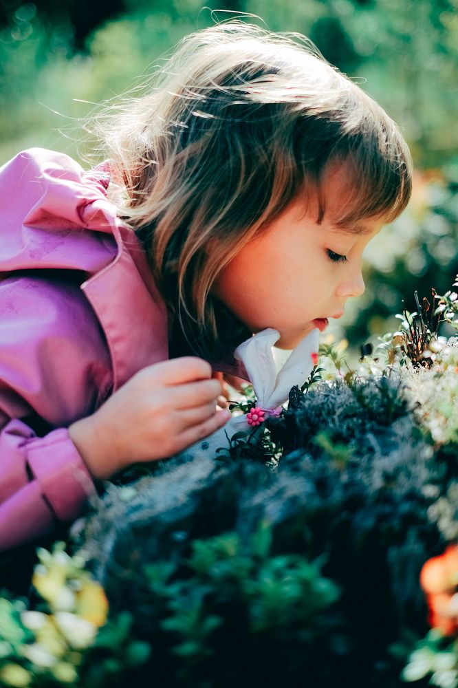 Фотография автора Ольга
