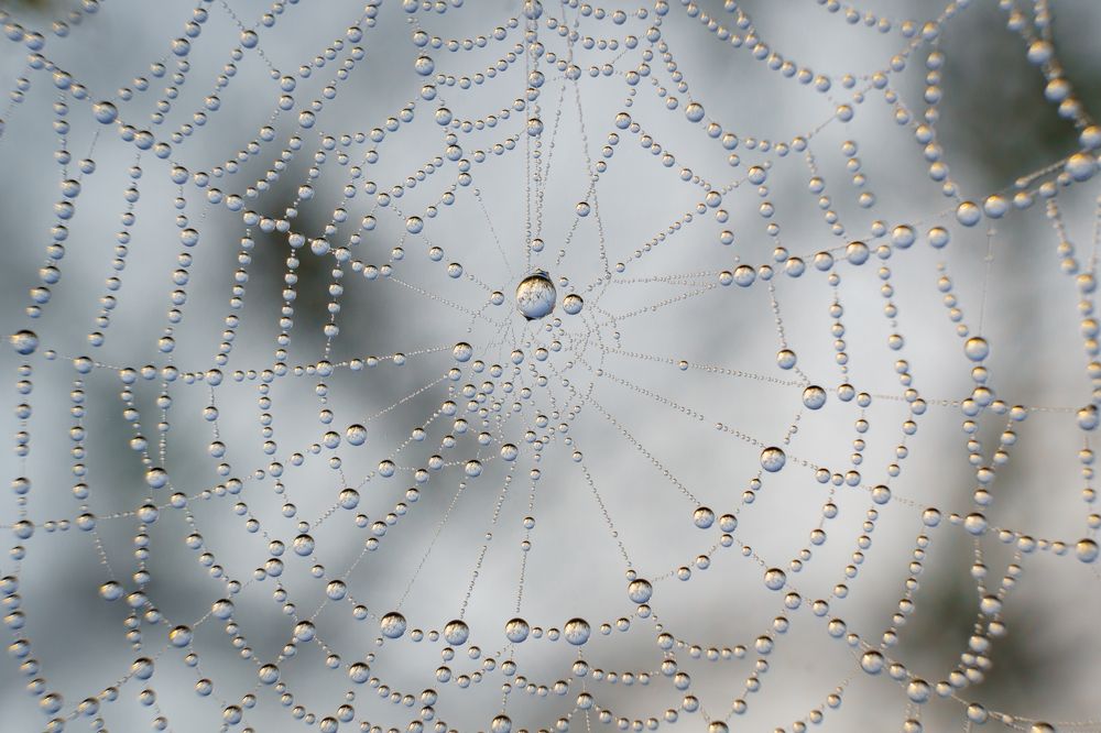 Photograph by Сергей Лебедев