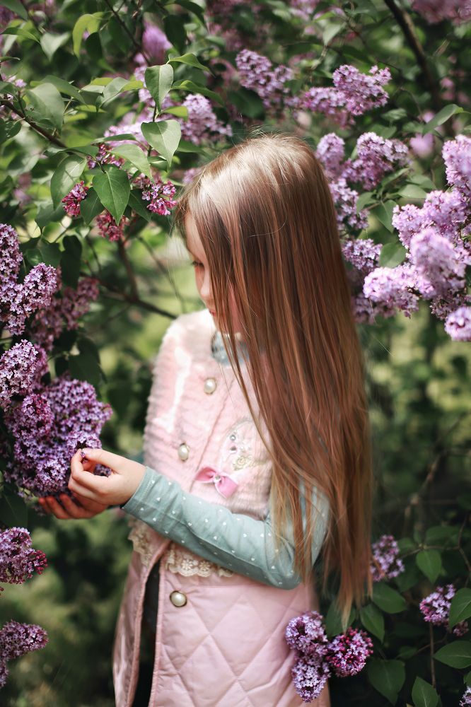 Цветет сирень