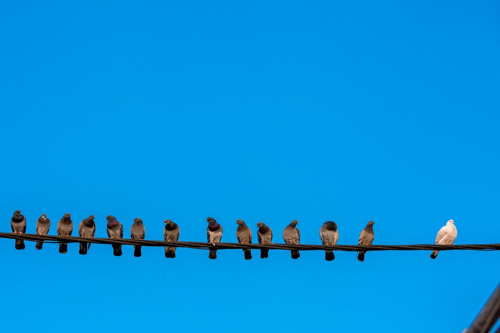 Angel and Baker's Dozen