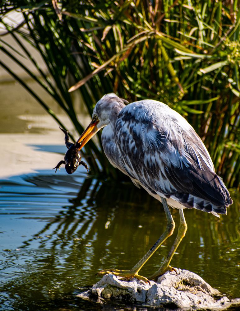 Photograph by Muhammed