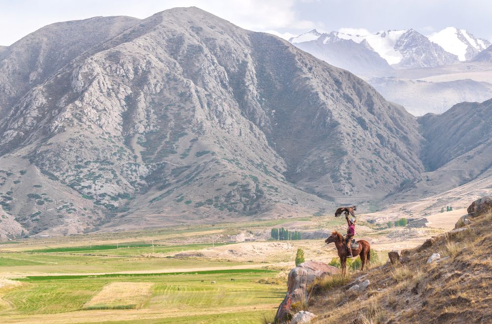 Lord of Birds__Qusbegi