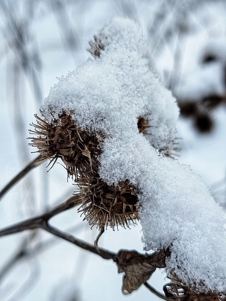 Photograph by Евгения Жданова