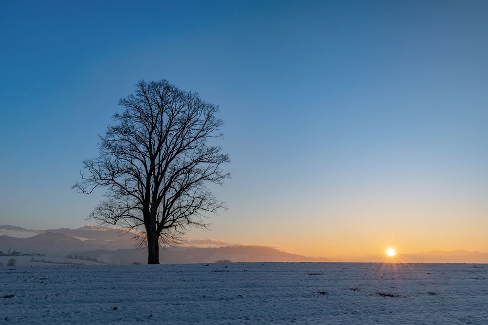 Photograph by Stefan Dubach