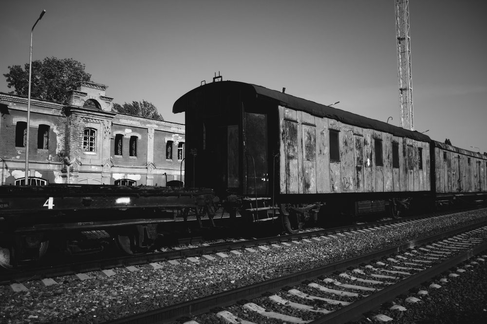 Photograph by Егор Гардин