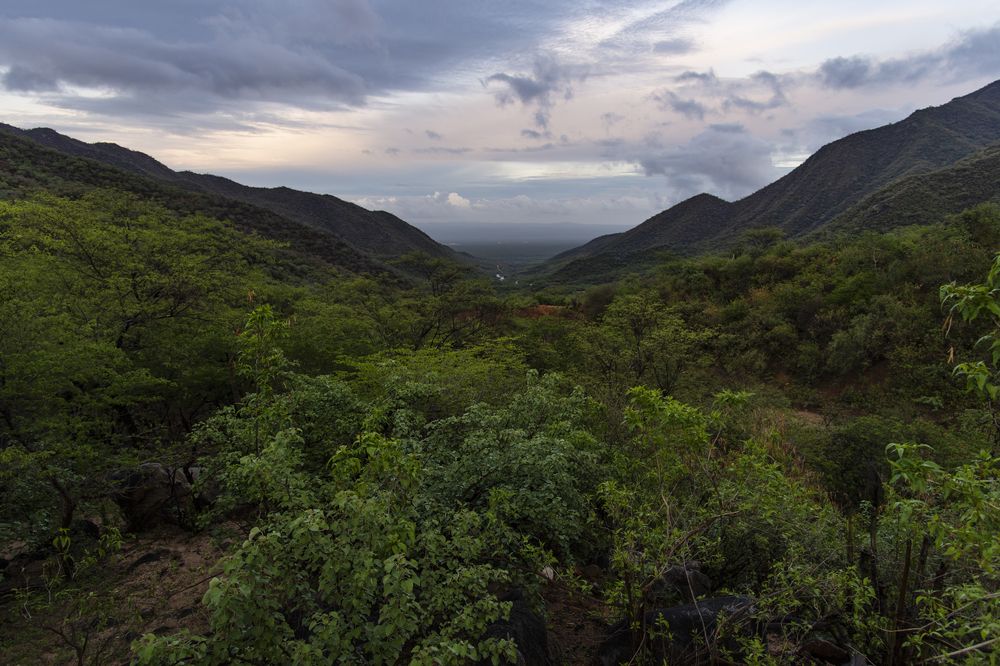 Photograph by Noe Castro