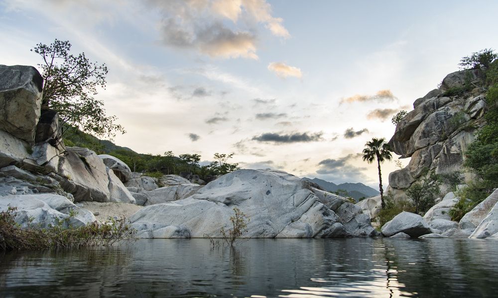 Photograph by Noe Castro