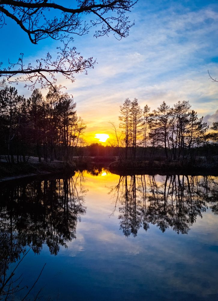 Фотография автора Анна Власенко