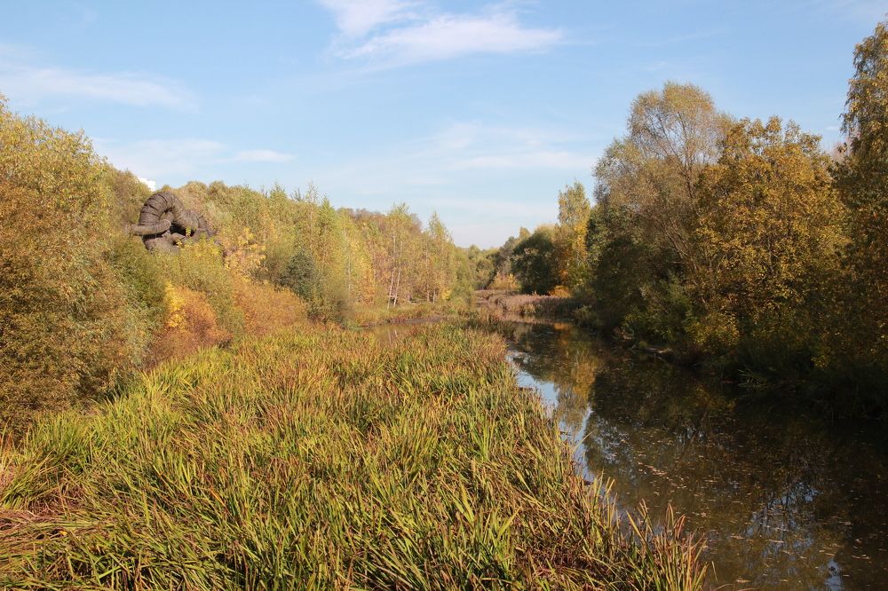 Photograph by Светлана Паренкова