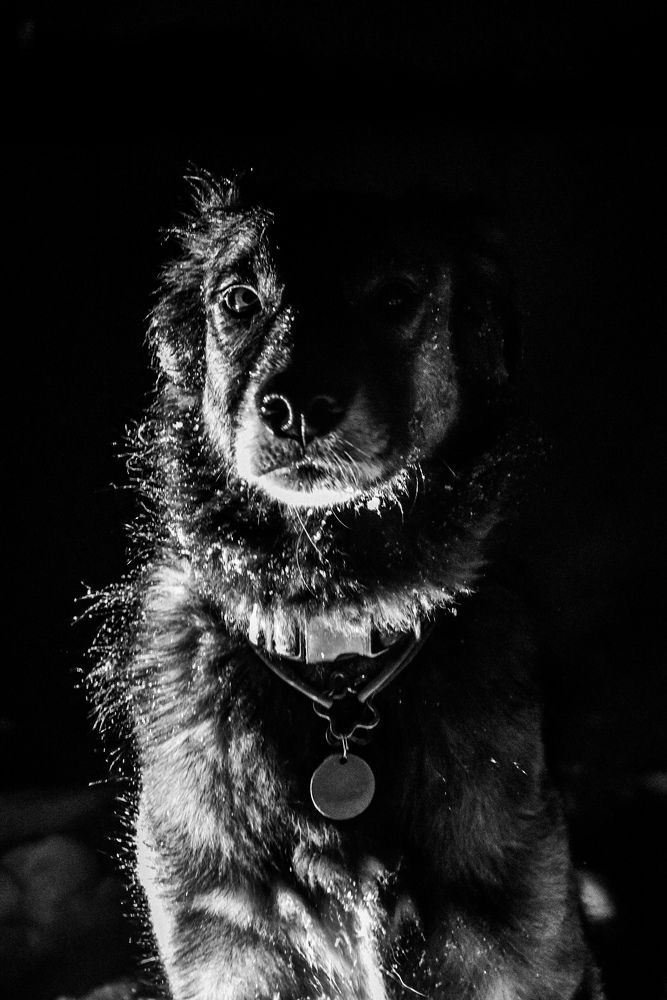 Photograph by Королева Екатерина