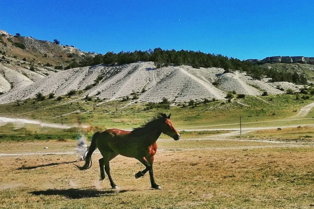 Photograph by Сергей Жигульский