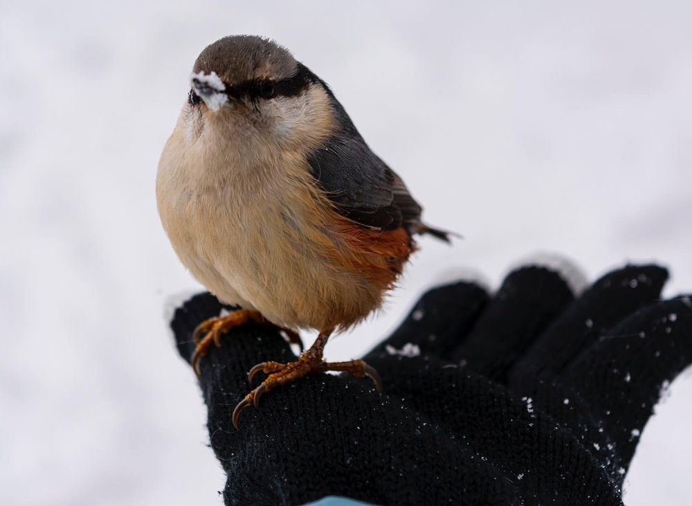 Photograph by Виктория Селютина