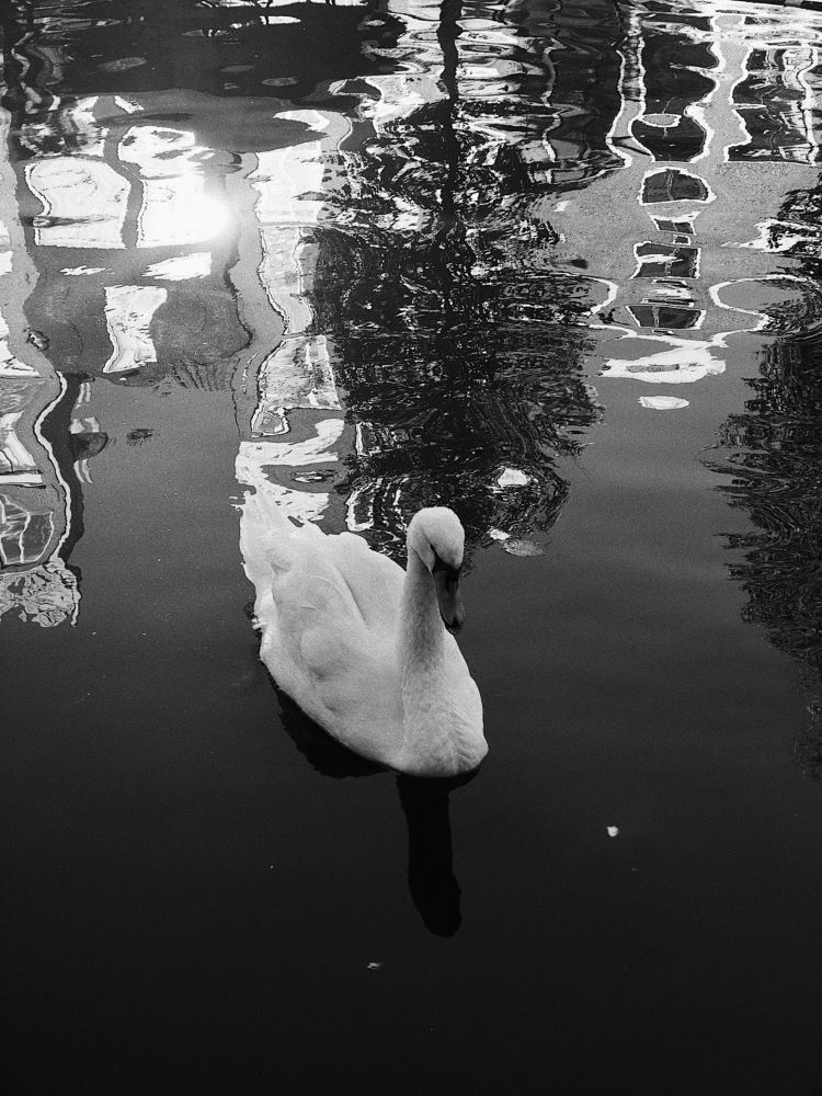 Фотография автора Дима Бурза