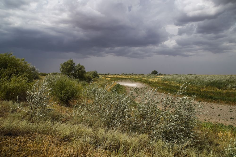 "Перед грозой".