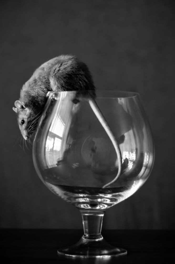 Photograph by Алёна Газукина