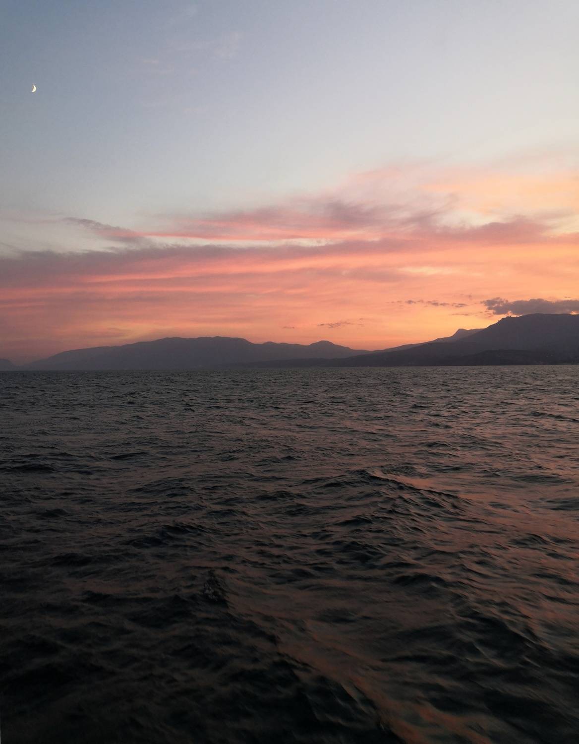 Photo #7393043